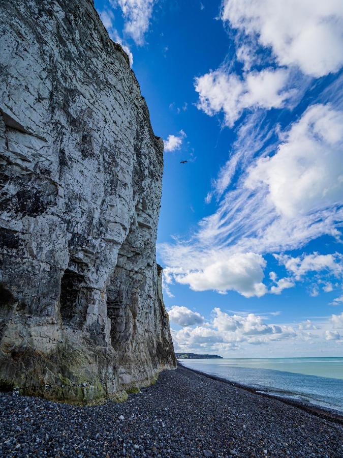 Le Grand Bleu - 400M Plage - Spacieux Dieppe Dış mekan fotoğraf
